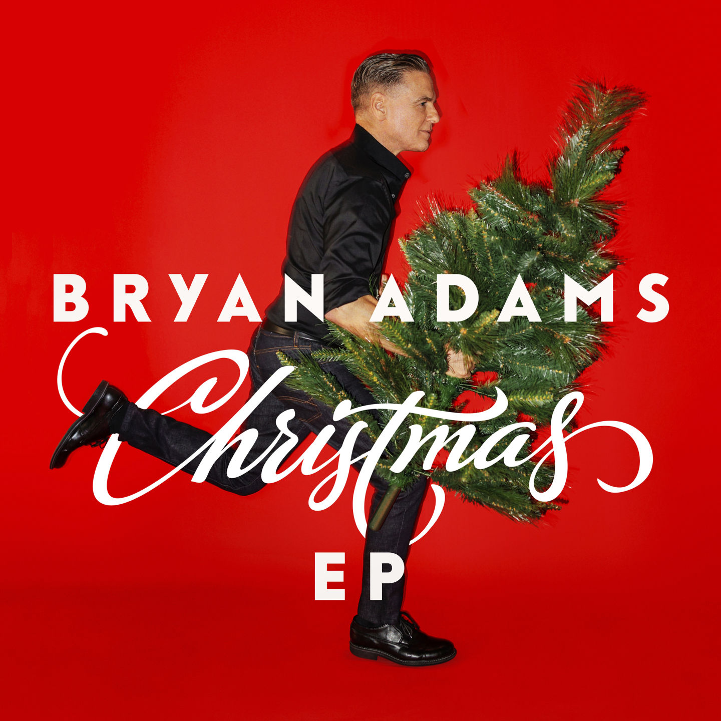 Music - Holiday Albums